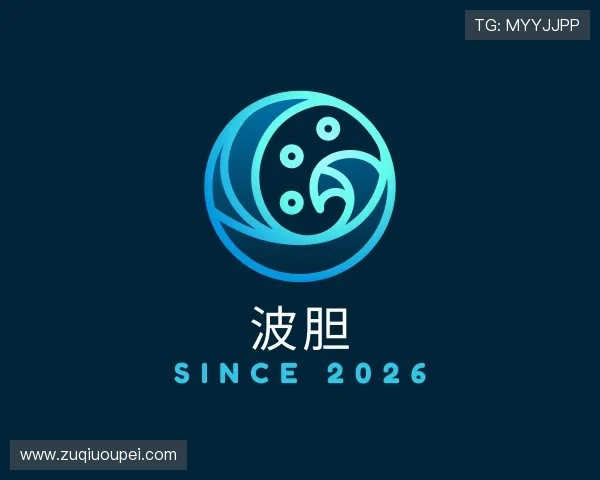 介绍足球比分直播